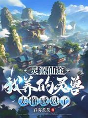 灵源仙途我养的灵兽太懂感恩了好看吗