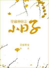 穿越种田之小日子txt盘搜搜