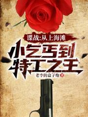 谍战上海滩在线阅读