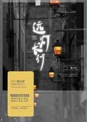 远灯光怎么使用