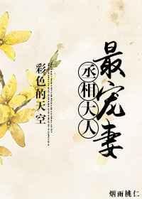 丞相大人最宠妻书包网