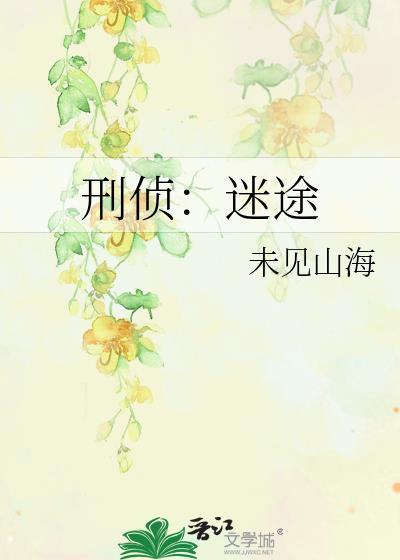 刑侦迷途txt
