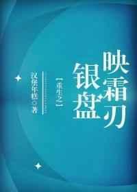 重生之银盘映霜刃是双男吗