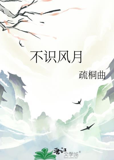 不识风月晋江