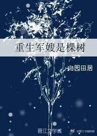 重生军嫂是鬼医杀手