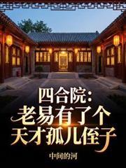 四合院老易有了个天才孤儿侄子就爱言情