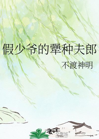 假少年的犟种夫郎