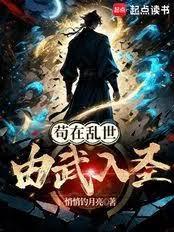 苟在乱世由武入圣无防盗