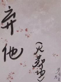 弃他如风电视剧