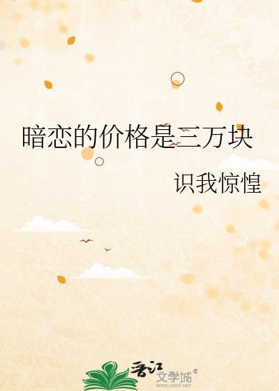 暗恋的价格是三万块晋江