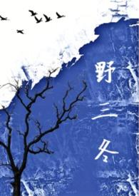 野三冬全文阅读免费无弹窗