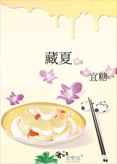 藏夏讲的什么