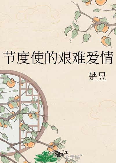 节度使的艰难爱情晋江