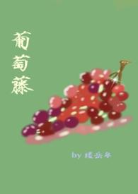 葡萄藤(bg骨)