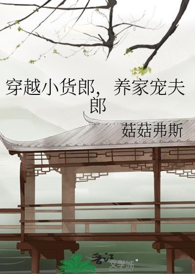 穿越小货郎,养家宠夫郎